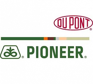Компания DuPont Pioneer представила эффективные гибриды для повышения урожайности