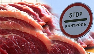 Молдова запретила ввоз украинской свинины