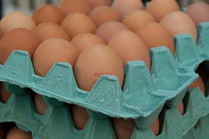 Поставщики обещают снижение цен на яйца до 15 грн за десяток