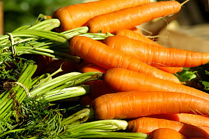 Украина начала импортировать морковь из Беларуси