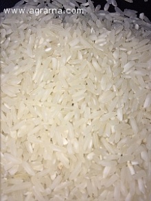 Рис длиннозернистый