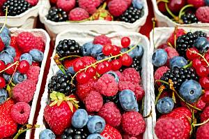 В I полугодии 2019 года также сохранилась тенденция увеличения экспорта отечественных плодов и ягод