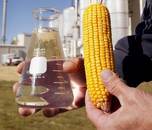 Американская компания намерена начать производство биоэтанола в Черкасской области