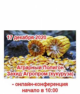 Аграрний Полігон Захід Агропром (кукурудза) 2020