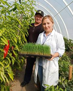 Фермеры Чилика осваивают новые методы органического земледелия