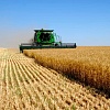 Продам действующие сельское хозяйство 9880га в центральной части Украины