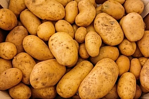 Украина увеличила экспорт картофеля в два раза
