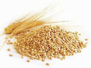 Предприятие на постоянной основе реализует зерновые (пшеница 2-й, 3-й класс)