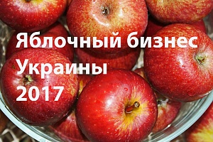 Конференция «Яблочный бизнес Украины-2017»