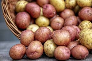 Українські картоплярі отримають допомогу від держави