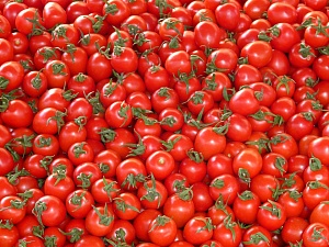 В Украине обвалились цены на томаты