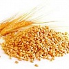 Продам пшеницу 2-3 кл