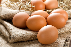 В Украине сокращается производство яиц