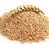 Куплю отруби пшеничные в больших объемах