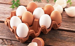 Почему в ЕС запретили продажу яиц