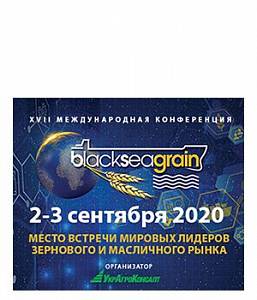 Зерно Причерноморья 2020