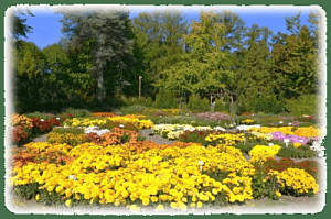 Виставка-ярмарка экзотических растений "Осенний вернисаж в ботаническом саду"