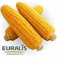 Cемена кукурузы ЕС Пароли