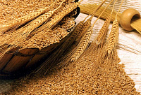 Подготовка зерна к хранению