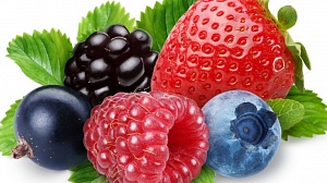 Некоторые аспекты ягодного бизнеса в Украине