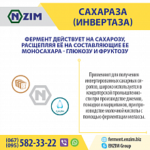 Сахараза (інвертази) ENZIM - Завод ЕНЗИМ м.Ладижин, Україна