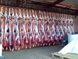 Дубайские инвесторы построят завод по переработке мяса в Южном Казахстане 