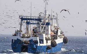 Отечественный рыбный промысел на Азовском море по угрозой