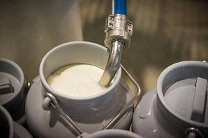 Молочна сировина в Україні коштує дорожче, ніж у Євросоюзі