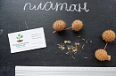 Платан клёнолистный семена (10 шт) для саженцев, чинар насіння + инструкция + подарок