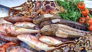 В Украине стартовал проект по обеспечению безопасности рыбных продуктов