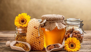 Пасечная экономика и продукты пчеловодства. Часть 1 