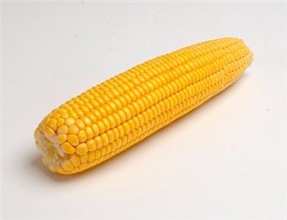 Цукрова кукурудза