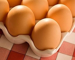 Производство яиц в Украине сократилось почти на 19%