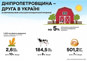 Днепропетровщина - вторая в Украине по производству сельскохозяйственной продукции