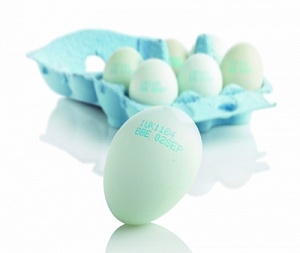 Новая система маркировки яиц i-Tech от Domino