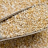 Закупить  отруби пшеничные