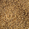 Продам зерносуміш (пшениця - ячмінь 50%50)
