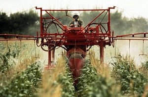 Украинцы требуют запретить использование опасного гербицида