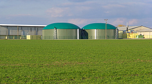 В Украине будут добывать биогаз из отходов сельского хозяйства и сахарного производства