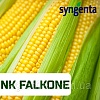 Семена кукурузы "НК Фалькон" ФАО 220