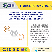 Трансглютаміназа ENZIM - Завод ЕНЗИМ м.Ладижин, Україна