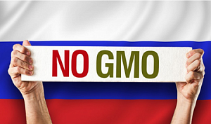 В России введен запрет на ГМО