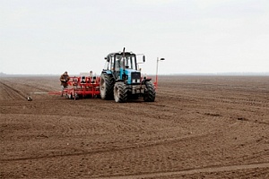 В Херсонской области посеяно 139 тыс. га ранних зерновых культур