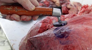 Экспорт Казахстаном мяса в КНР под угрозой срыва из-за отпадающих бирок и сибирской язвы