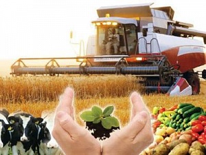 Производство сельхозпродукции в Беларуси в январе-сентябре возросло на 1,9%