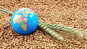 В 2018 году экспорт украинского зерна принес рекордные за время независимости 7,2 млрд долларов