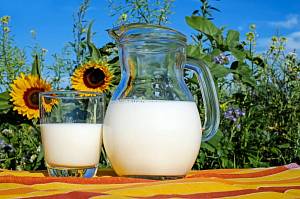 Молоко остается наиболее рентабельной продукцией животноводства