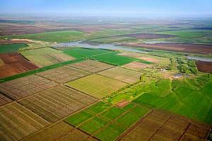 Аграрії звернулись до Президента України щодо відкриття ринку землі