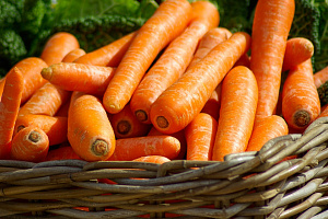 Импортная морковь из Беларуси сбивает цены на рынке Украины