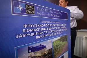 Украина получит грант на выращивание мискантуса